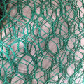 Vinyl Coated Hexagonal Wire Netting